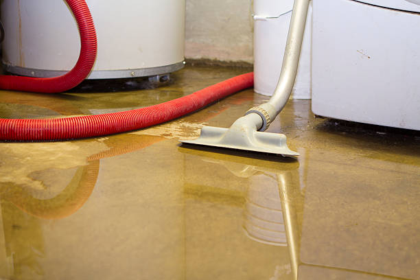 Best Odor Removal and Sanitization After Water Damage in New York Mills, NY